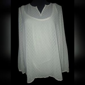 Ruff Hewn Long Sleeved Sheer White Swiss Dot Notch Neck Top -  Size Medium